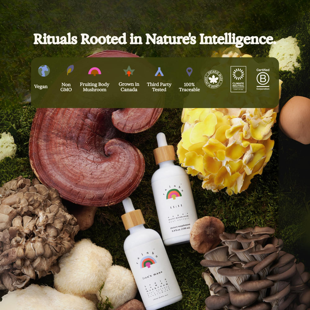 Rainbo Lion's Mane tincture blends easily into tea or water
