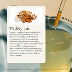 Close-up of Rainbo Turkey Tail tincture liquid highlighting alcohol-free dual extract.