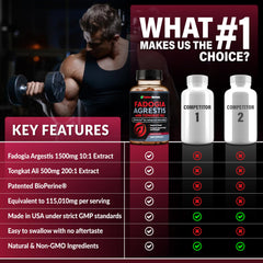 Rainbow Nutrients ingredient visual illustrating fadogia and tongkat ali synergy for energy