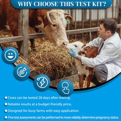 Included contents of the Rapid Bovine Pregnancy Test Kit showing 5 strips