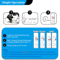 On-farm use of the Rapid Bovine Pregnancy Test Kit with a farmer and cows in a barn
