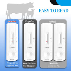 Sample prep with the Rapid Bovine Pregnancy Test Kit illustrating simple workflow
