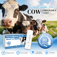 Close-up of Rapid Bovine Pregnancy Test Kit test strip for quick interpretation