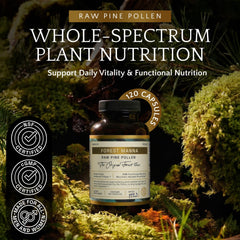 RAW Forest Foods Forest Manna capsules close-up, for daily adaptogenic support.
