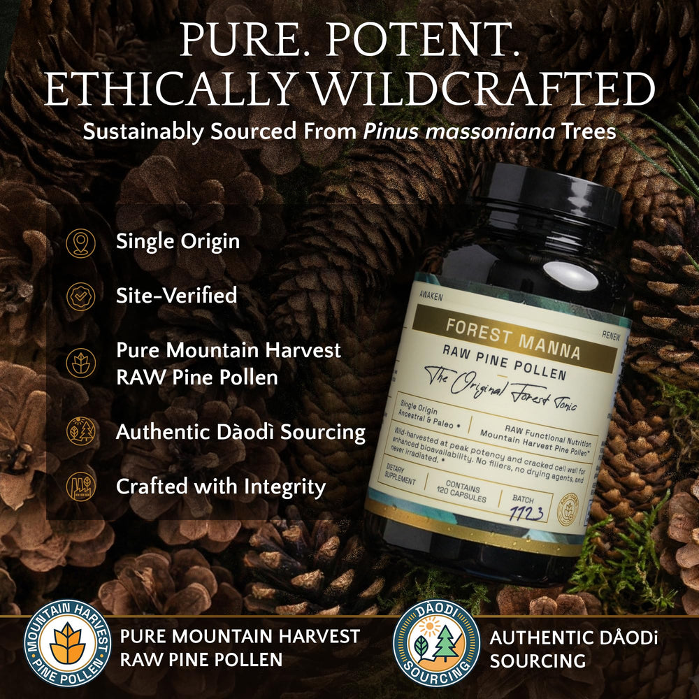 RAW Forest Foods Forest Manna capsules showcased with a spoon for daily ritual.