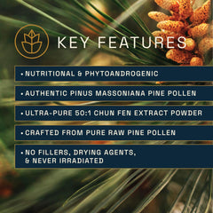 RAW Forest Foods Pine Pollen capsules close-up highlighting premium extract for energy.
