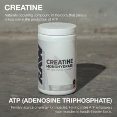 RAW Nutrition creatine monohydrate powder scoop for easy daily serving during strength workouts.