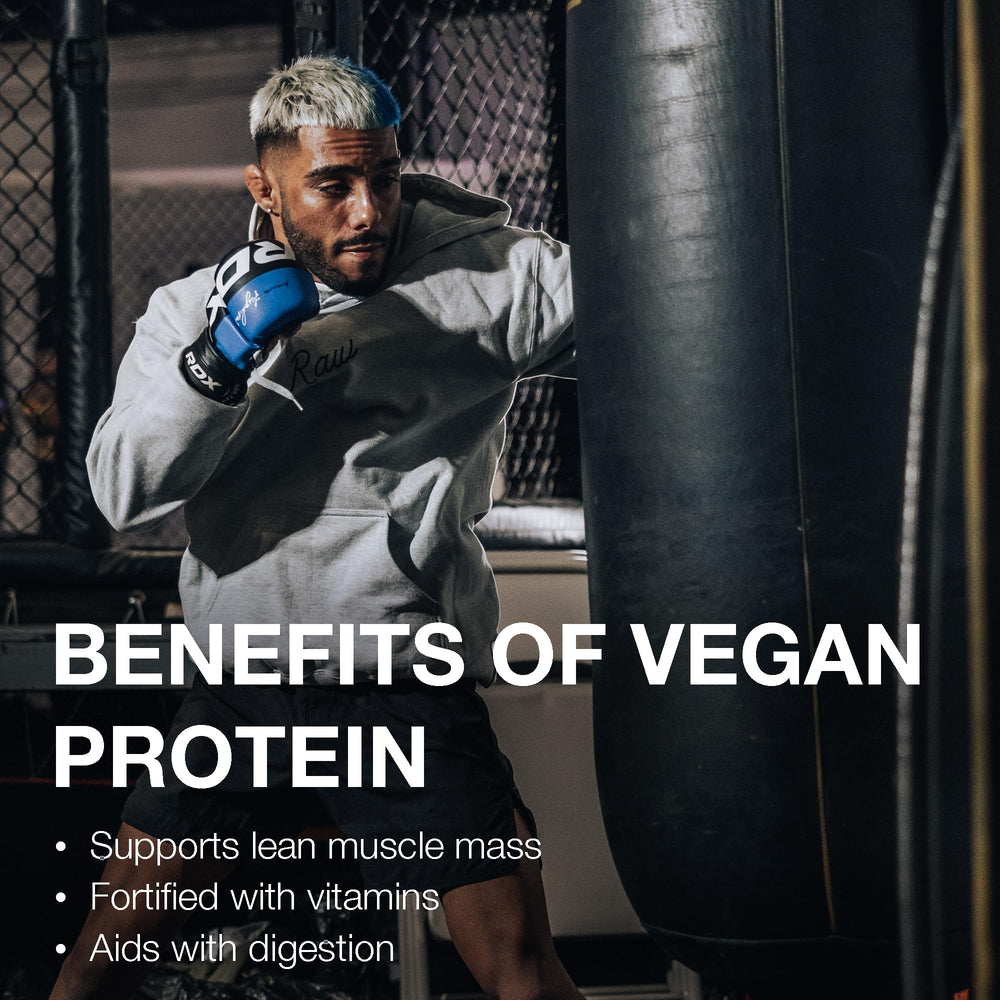 RAW Vanilla Vegan Protein ingredients blend highlights four plant proteins.