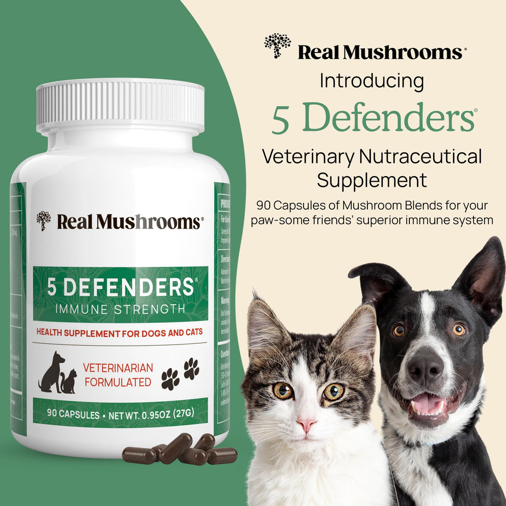 Real Mushrooms 5 Defenders label highlights organic mushrooms and clean-label pet nutrition.