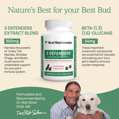 Real Mushrooms 5 Defenders organic mushrooms closeup emphasizes fruiting-body extracts.