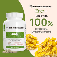 Closeup of Real Mushrooms capsules ready to take or mix into food