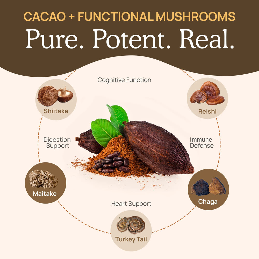 Real Mushrooms organic cacao powder bag as premium cacao base.