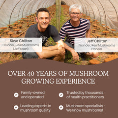 Real Mushrooms packaging highlights a clean USA-made vegan blend.
