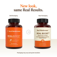Real Mushrooms RealBoost capsules closeup highlights premium mushroom extract quality.