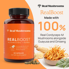 Real Mushrooms RealBoost Panax ginseng capsules emphasize focused daily performance.