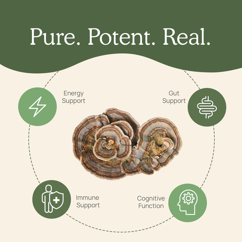 Real Mushrooms turkey tail daily-use scene showing easy mixing with meals.