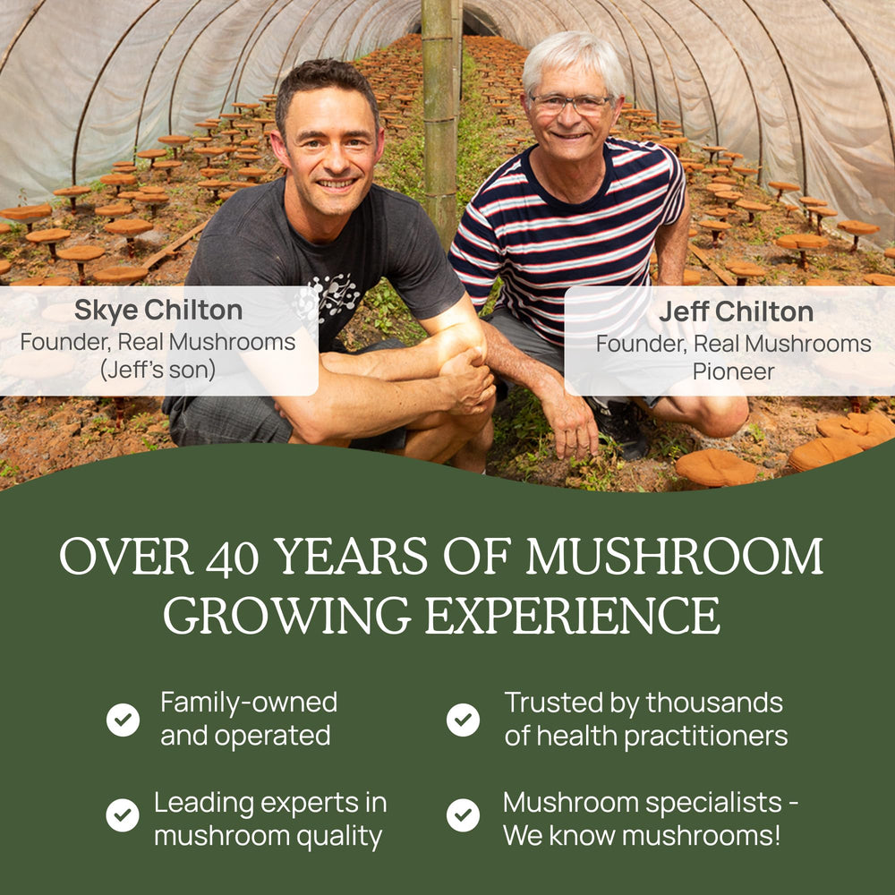 Real Mushrooms Turkey Tail powder packaging communicates organic vegan formulation