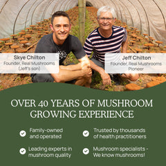 Real Mushrooms Turkey Tail powder packaging communicates organic vegan formulation