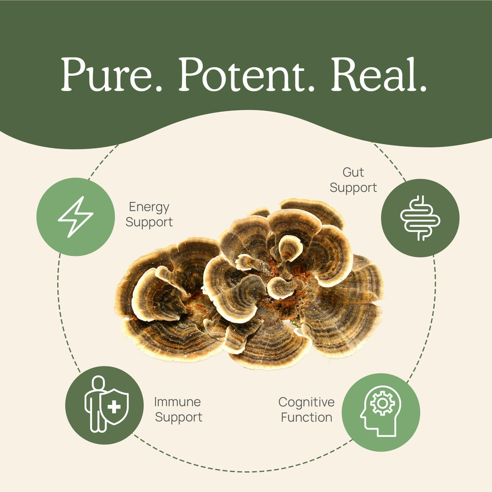 Real Mushrooms Turkey Tail powder in smoothie bowl for a convenient, plant-based option.