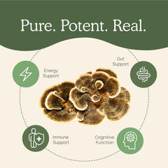 Real Mushrooms Turkey Tail powder in smoothie bowl for a convenient, plant-based option.