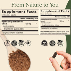 Real Mushrooms Turkey Tail powder in tea demonstrates simple beverage fusion.