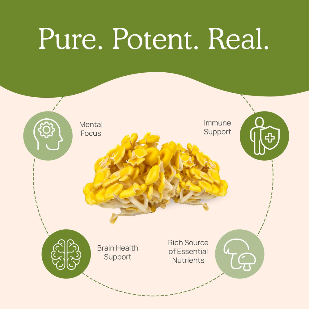 USDA Organic seal on Real Mushrooms Ergothioneine packaging