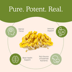 USDA Organic seal on Real Mushrooms Ergothioneine packaging