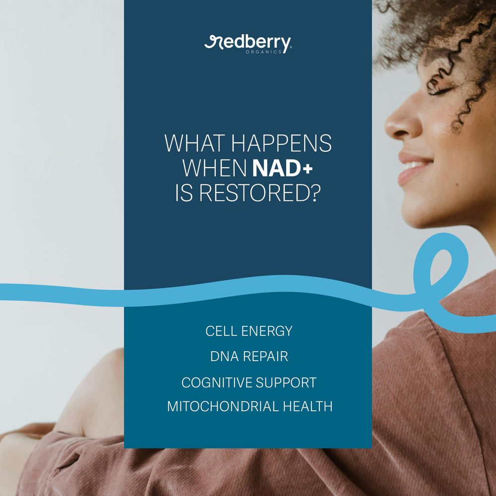 Redberry NAD Plus with Urolithin A and Resveratrol pairing.