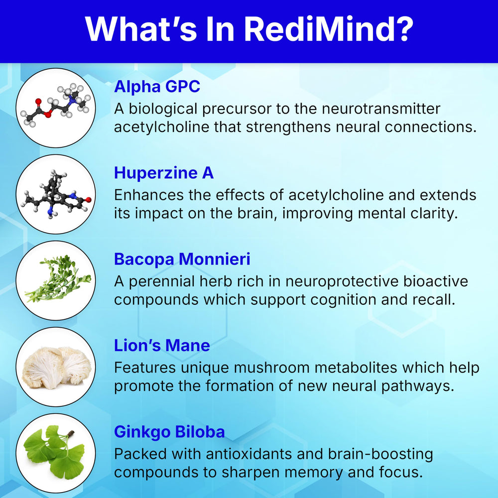 RediMind bacopa and ginkgo ingredients image signals study-time cognitive support