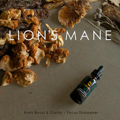 Redmint Lion's Mane tincture with ginkgo leaf for focused thinking
