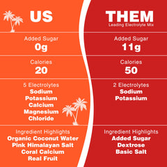 Vitamins C, B3, B6, B12 for daily energy support with Reef Replenish