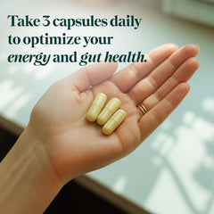 Rejuveen Previtalean gentle vegetarian formula supports GLP-1 balance.