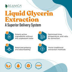 Rejuvica Health IntestiClear liquid in amber hue suggests natural herbal extraction.