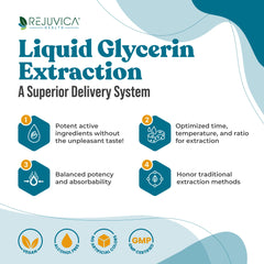 Rejuvica Health MunoMax ingredients chart featuring premium botanicals and herbs.