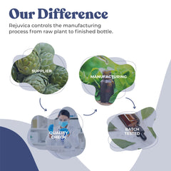 Rejuvica Health organic wildcrafted ingredients emphasize natural sourcing