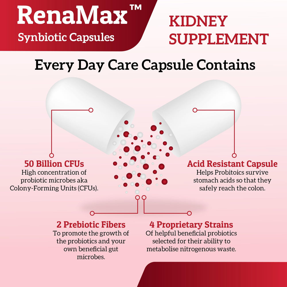 RENAMAX ingredient graphic illustrating synbiotic blend for gut and kidney health