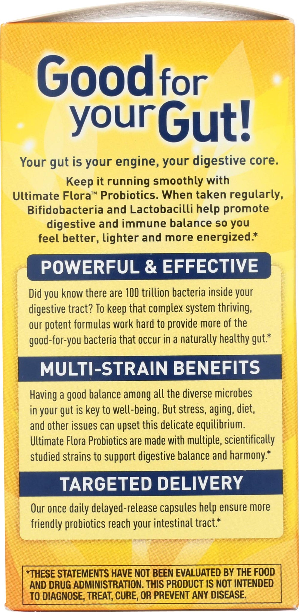 Renew Life 12-strain blend diagram showcases diverse strains for digestive and immune support