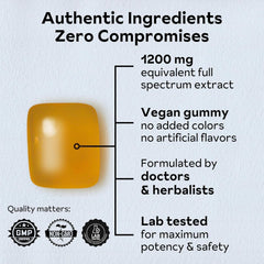 Reprise Reishi gummies textured closeup shows chewy texture ideal for easy daily use.