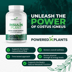Research Biotech Group insulin plant leaf powder container highlights the natural ingredient source
