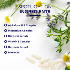 Ingredients chart for Sciatimax featuring B vitamins, magnesium, and plant extracts