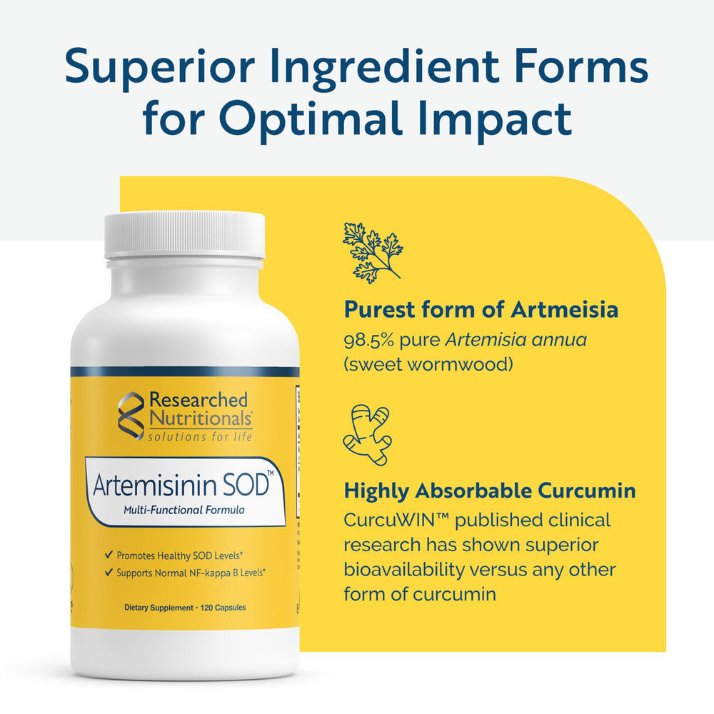 Researched Nutritionals Artemisinin SOD bottle on table conveys everyday wellness routine.