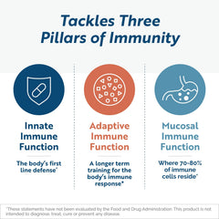 Ingredients display featuring Beta Glucan, Lactoferrin and IP-6 for immune balance
