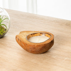 Coco Casa wooden wick burn display demonstrating even flame