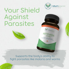 Return Healthy Artemisia Trinity capsules close-up, ideal for a simple daily herbal routine.