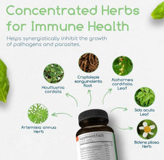 Return Healthy Cryptolepis Concentrate capsules ready for daily immune support.