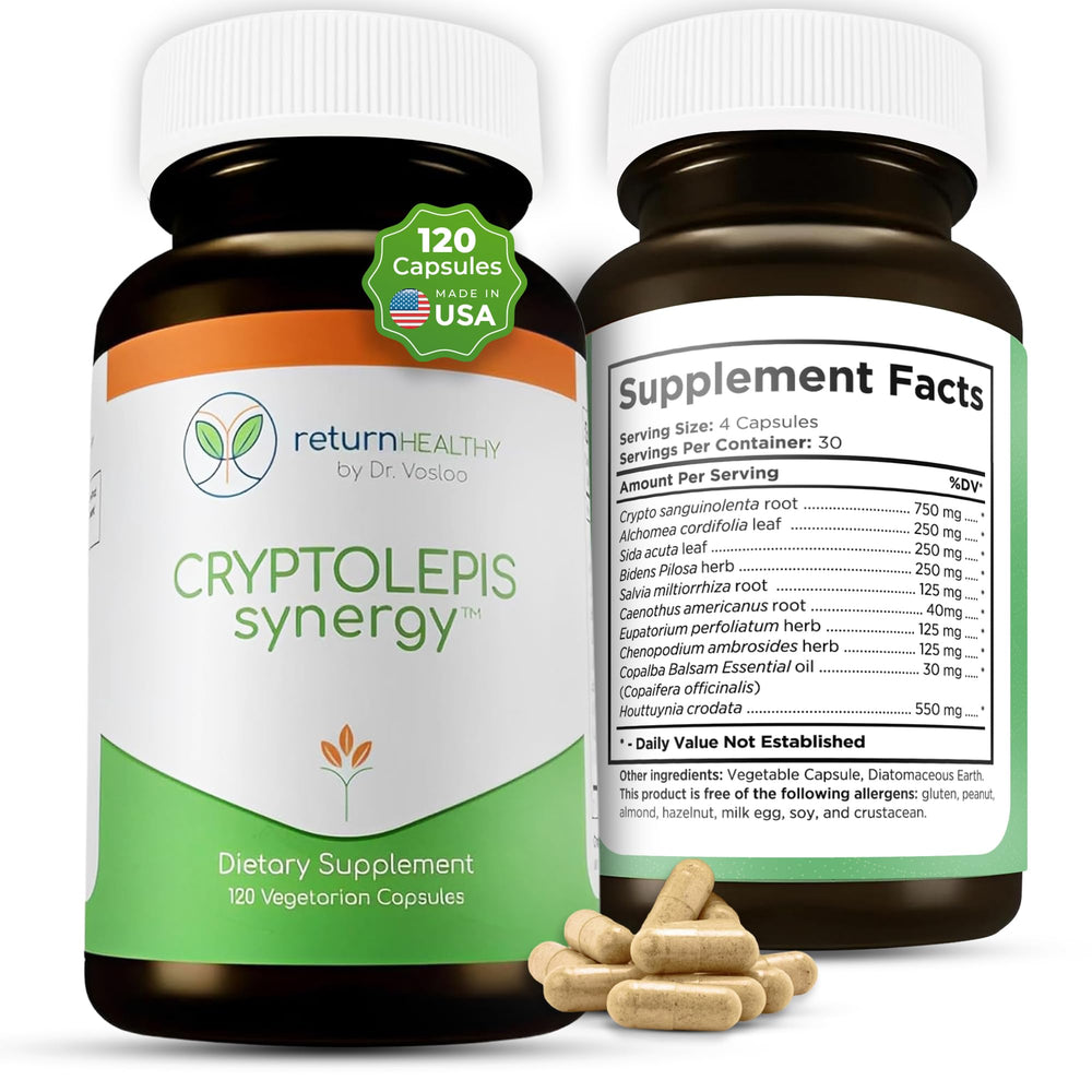 Return Healthy Cryptolepis Synergy bottle front on a clean desk supporting daily wellness