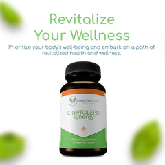 Return Healthy Cryptolepis Synergy beside water highlights hydration-friendly intake