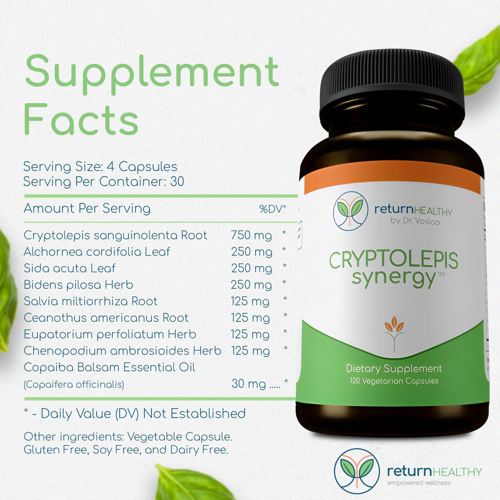 Return Healthy Cryptolepis Synergy packaging box shown for organized supplement routine