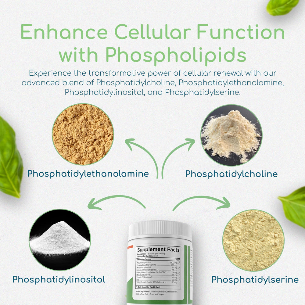 Closeup of Return Healthy Phospholipid Synergy powder texture highlights purity.