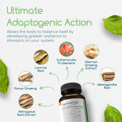 Return Healthy Siberian Ginseng blend packaging highlighting energy balance.